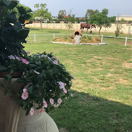 Il Cavaliere - Centro Di Equitazione Dell'hermada Asd Hermada